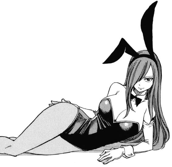 Erza Bunny Girl